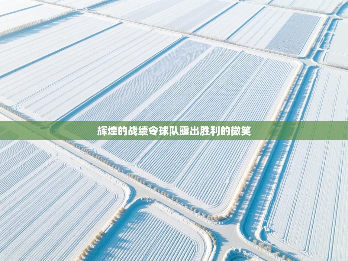 辉煌的战绩令球队露出胜利的微笑  第2张